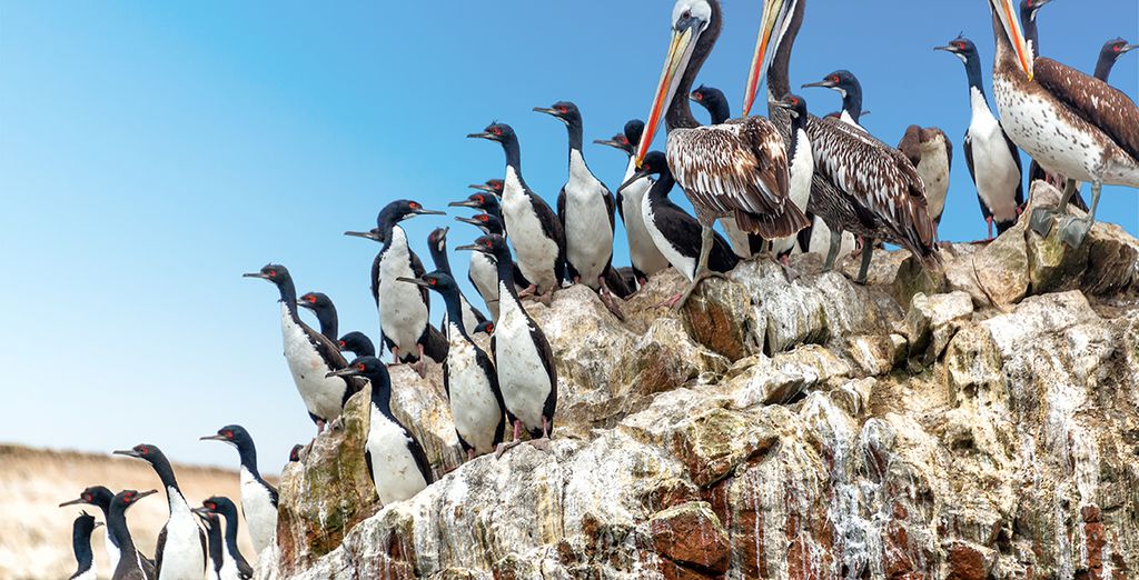 Tour panoramico del Perù con guida parlante italiano