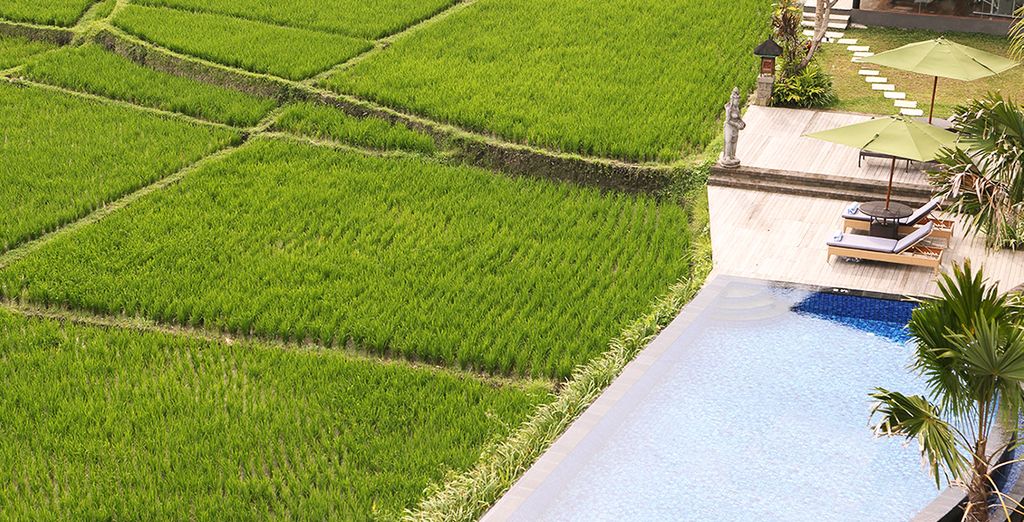 Plataran Ubud Hotel & Spa 5* + Plataran Menjangan Resort & Spa 5* + Plataran Canggu Bali Resort and Spa 5*