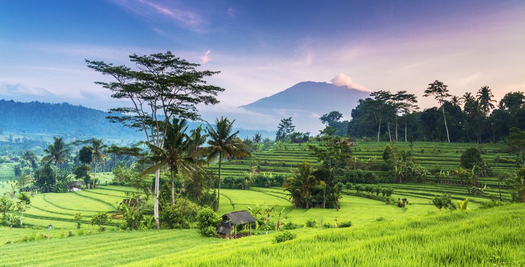 Plataran Ubud Hotel & Spa 5* + Plataran Menjangan Resort & Spa 5* + Plataran Canggu Bali Resort and Spa 5*