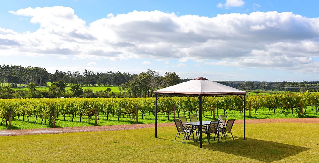Tour alla scoperta dell'Australia