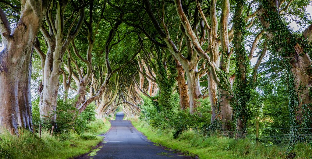 Game of Thrones Autotour e autotour cinematografico dell'Irlanda