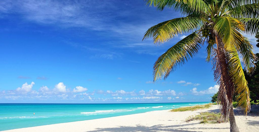 Iberostar Grand Hotel Packard L'Avana 5* + Paradisus Los Cayos 5* 