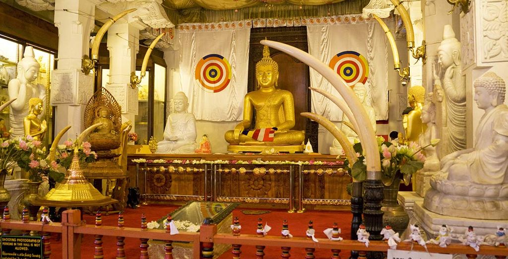 Minitour Sri Lanka e Fihalhohi Island Resort 4*