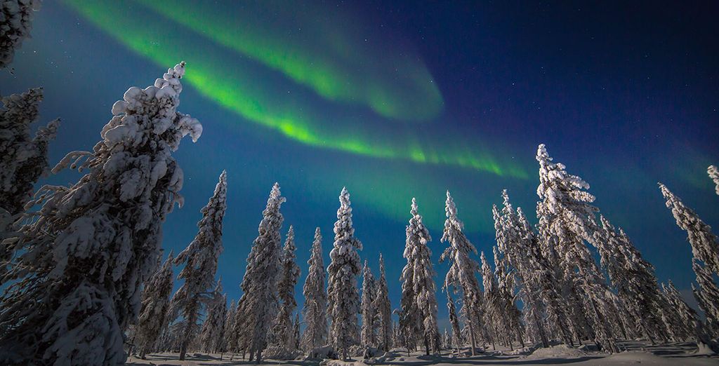Sotto le luci dell'Aurora