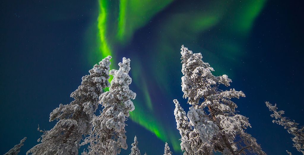 Sotto le luci dell'Aurora