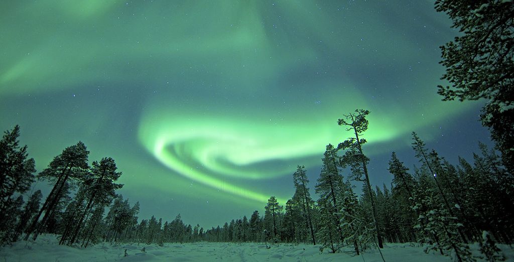 Sotto le luci dell'Aurora