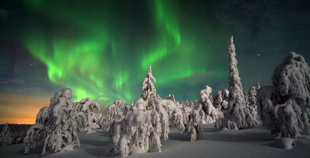 Sotto le luci dell'Aurora