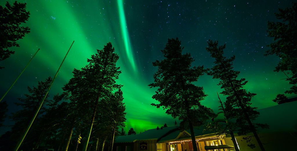 Sotto le luci dell'Aurora