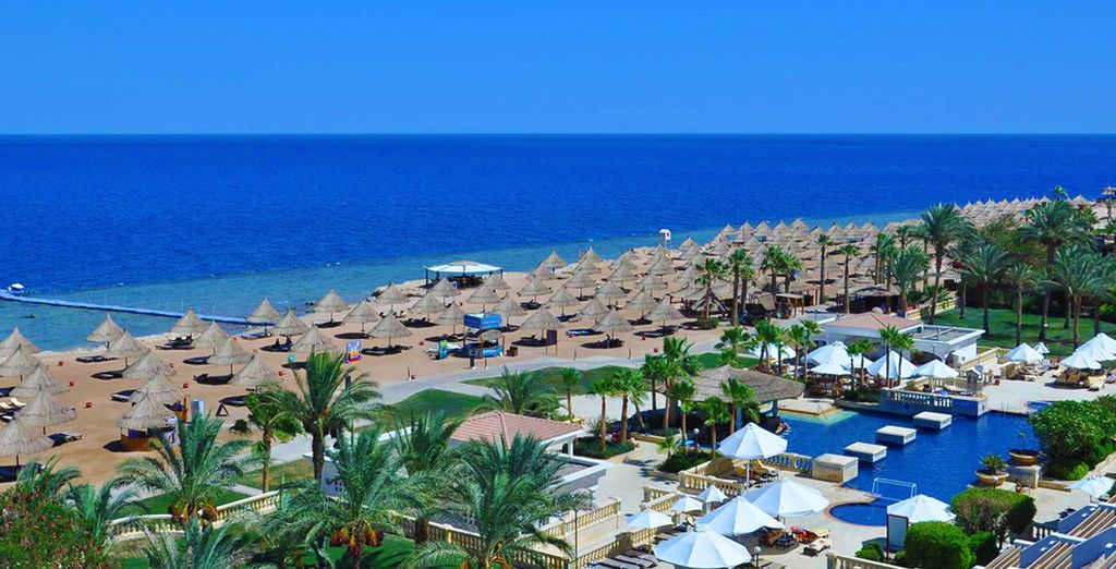 Giordania Essenziale & Sharm El Sheikh