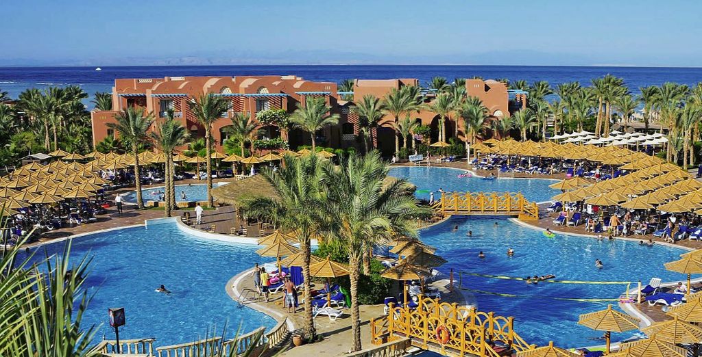 TUI Magic Life Sharm 5*