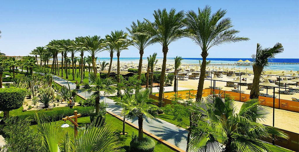 TUI Magic Life Sharm 5*