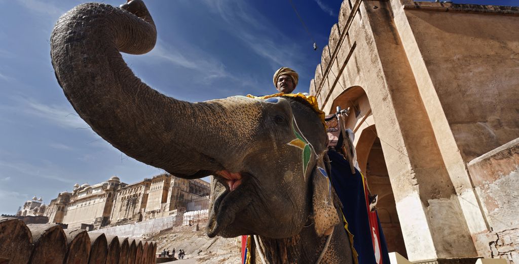 Triangolo d'Oro & Varanasi