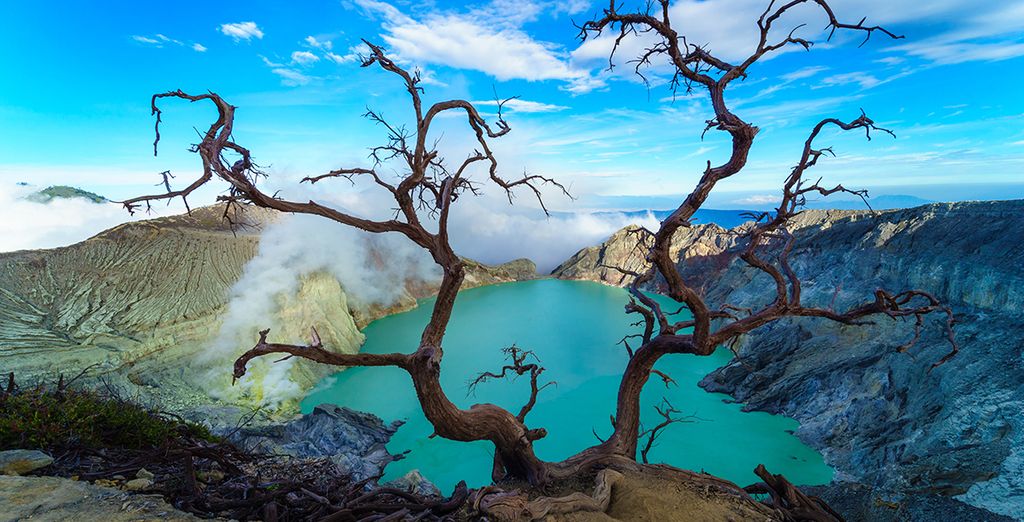 Tour privato Splendori Balinesi con possibile soggiorno a Komodo