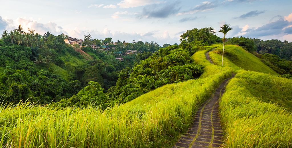 Tour privato Splendori Balinesi con possibile soggiorno a Komodo