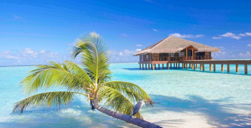 Medhufushi Island Resort Maldives 4*