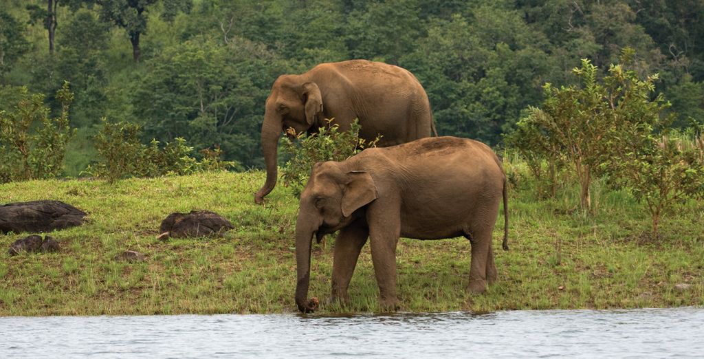 Tour privato del Kerala con soggiorno alle Isole Andamane