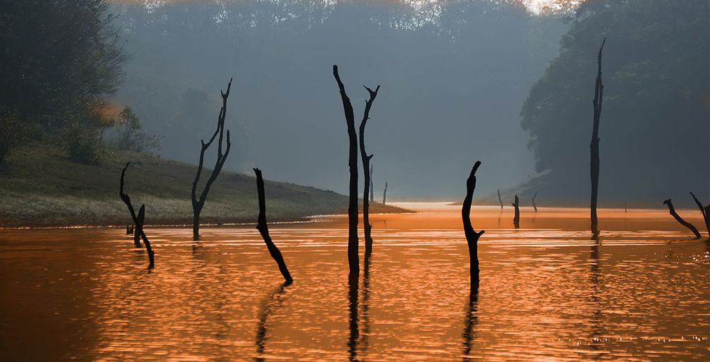 Tour privato del Kerala con soggiorno alle Isole Andamane