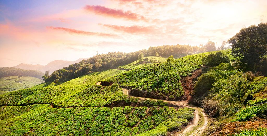 Tour privato del Kerala con soggiorno alle Isole Andamane