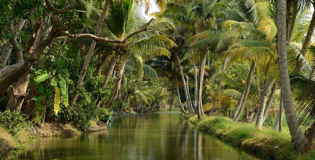 Tour privato del Kerala con soggiorno alle Isole Andamane