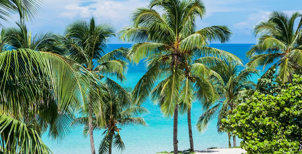 NH Capri La Habana 4* + Melia Internacional Varadero 5*