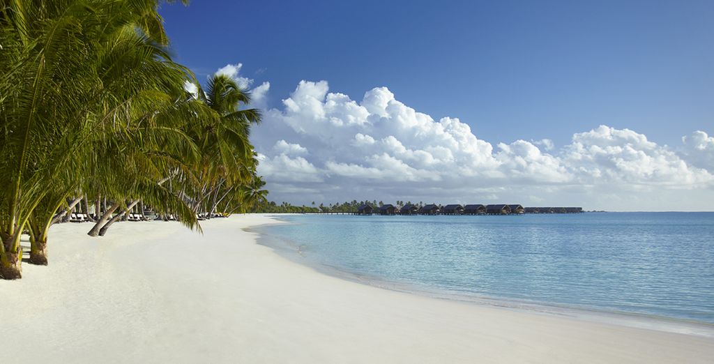  Shangri La Villingili Resort & Spa 5*