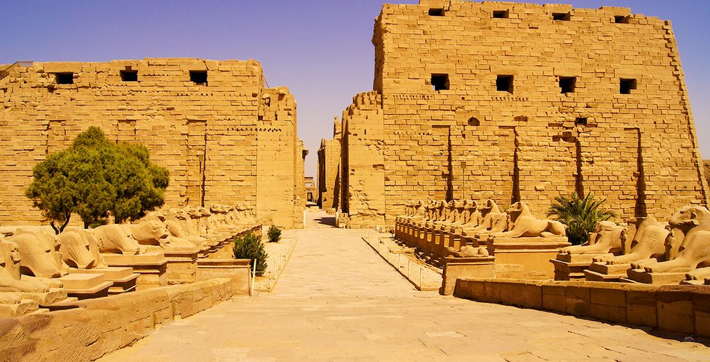 Crociera sul Nilo escursioni incluse e Stella Makadi Hurghada