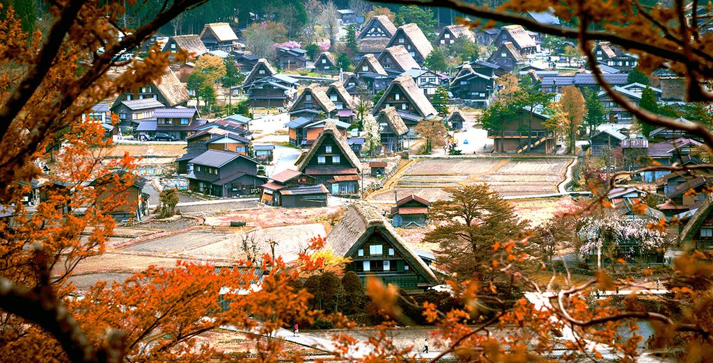 Tour gli splendori del Giappone da Kyoto