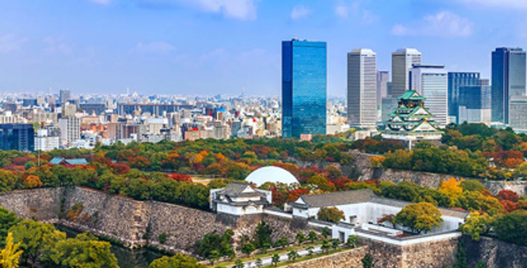 Tour gli splendori del Giappone da Kyoto