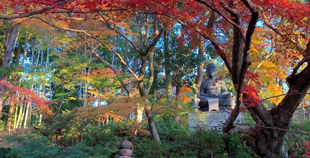 Tour gli splendori del Giappone da Kyoto