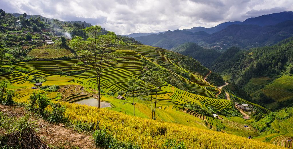Il meglio del Vietnam in libertà con possibile estensione a Mai Chau