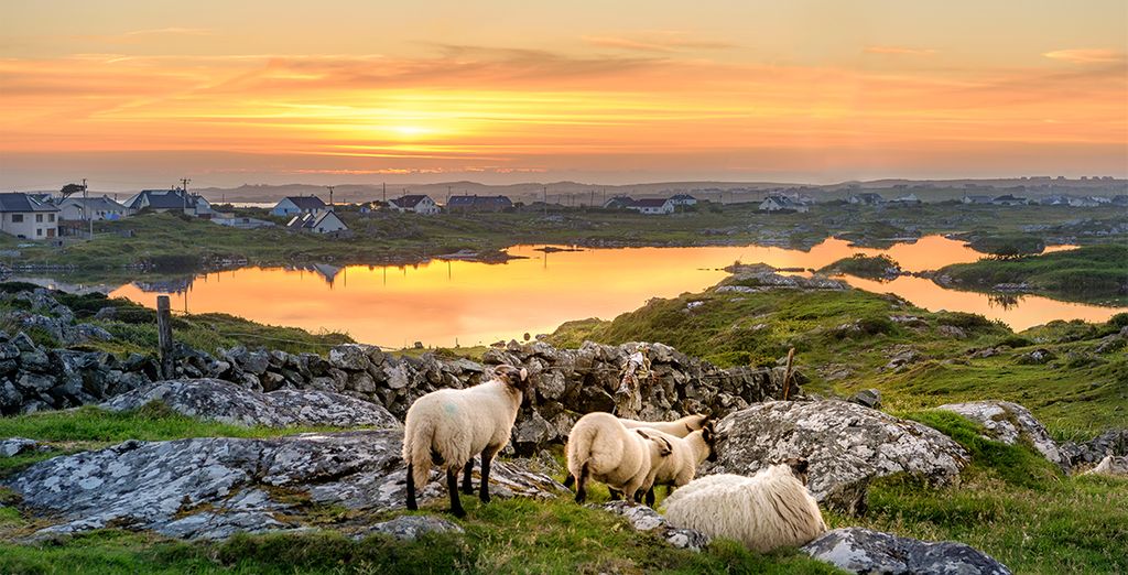 Irlanda in Tour