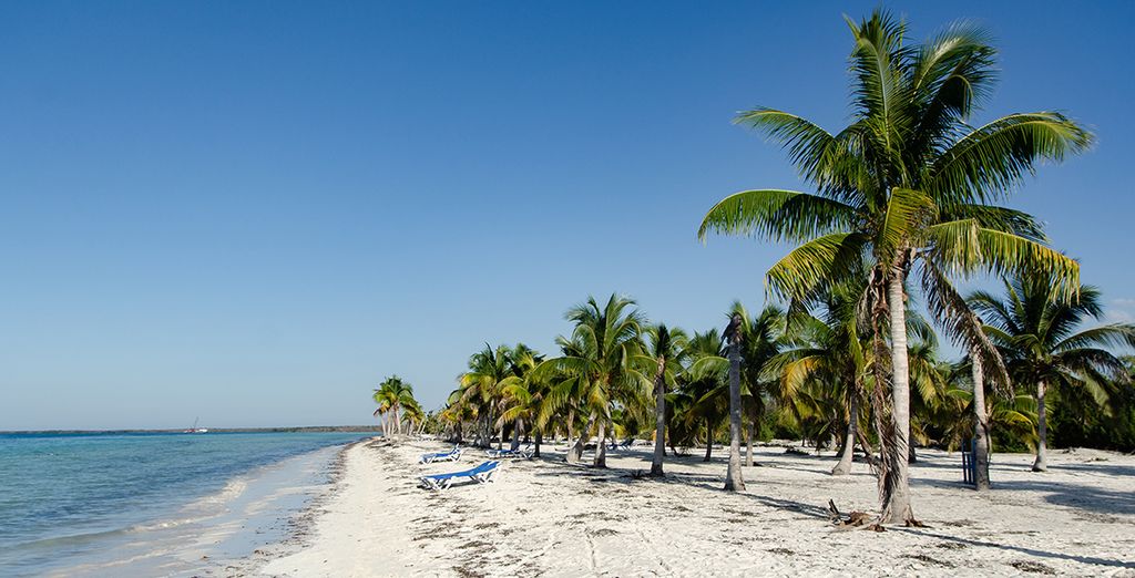Tour di Cuba a 360°, mare, storia e natura 