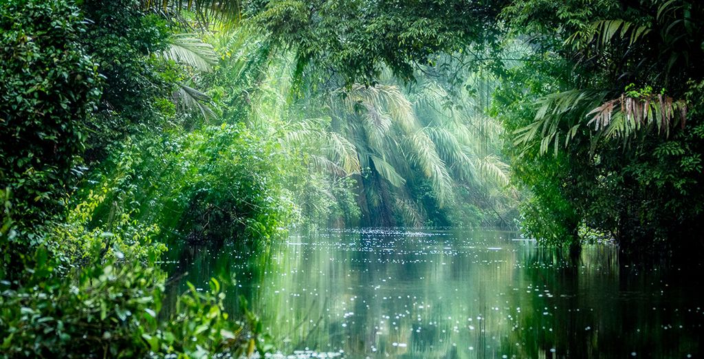Autotour di 8 notti in Costa Rica: da San José a Tamarindo