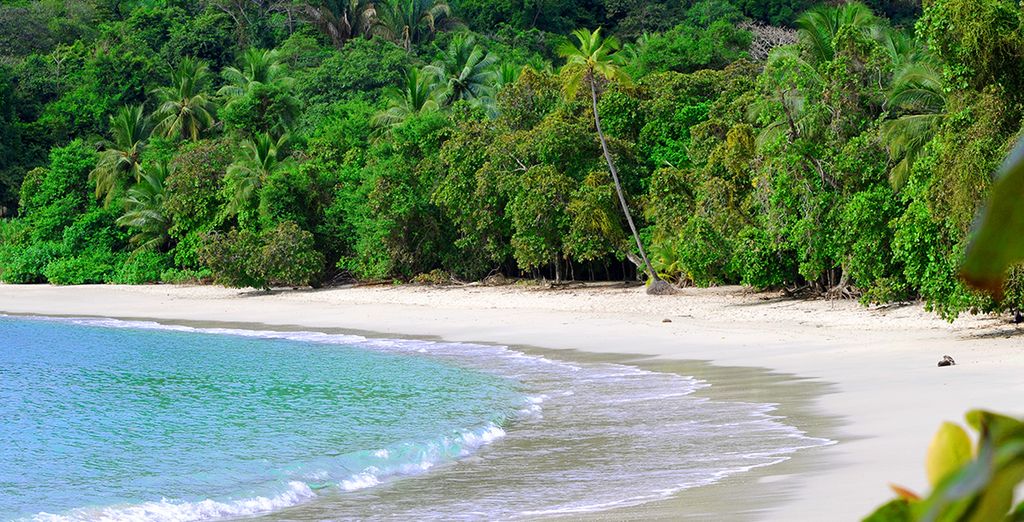 Autotour di 8 notti in Costa Rica: da San José a Tamarindo