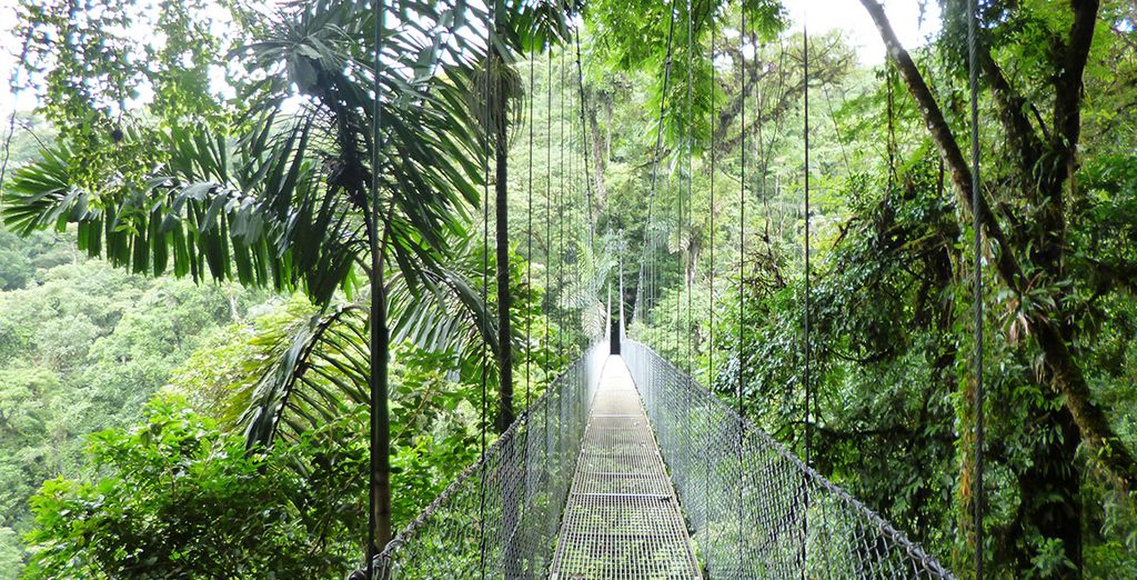 Autotour di 8 notti in Costa Rica: da San José a Tamarindo