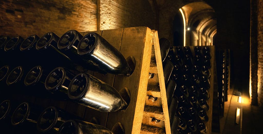 Tour lungo le strade dei vini del Piemonte