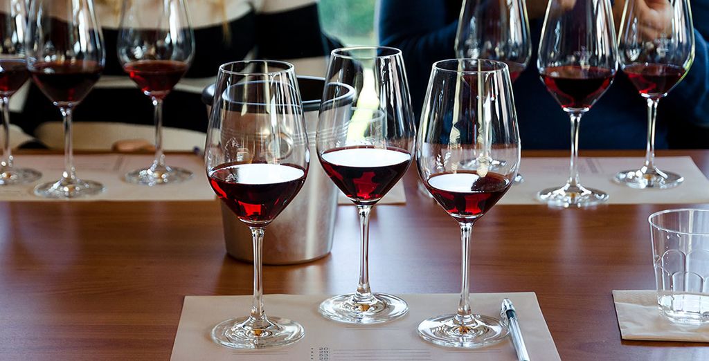 Tour lungo le strade dei vini del Piemonte