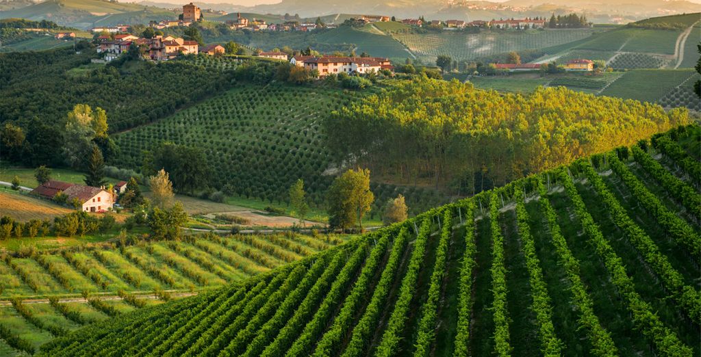 Tour lungo le strade dei vini del Piemonte