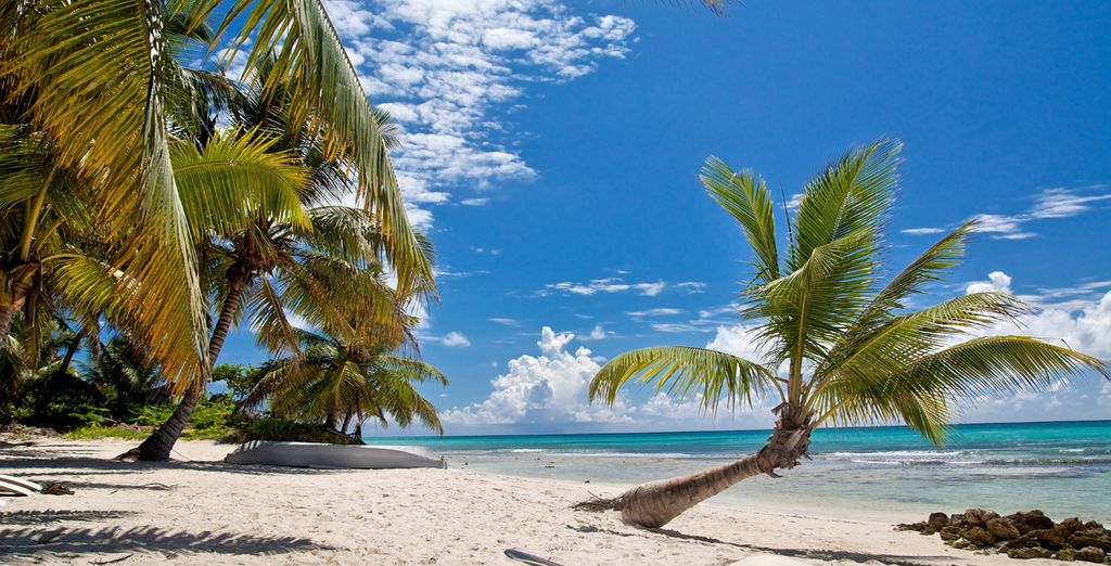 Hotel Nacional Havana 4*S + Royalton Hicacos Varadero 4* - Adults Only