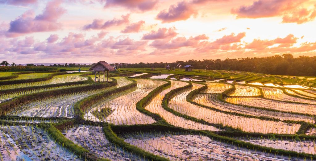 Kupu Kupu Jimbaran Hotel 5* + Kupu Kupu Barong Hotel 5* con tappe a scelta