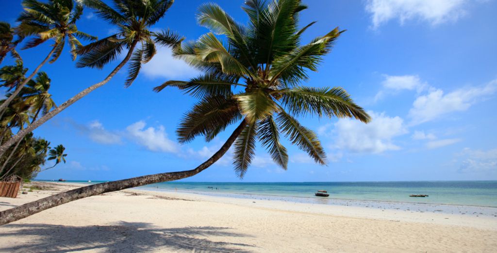 Sandies Tropical Village 4* con safari inclusi