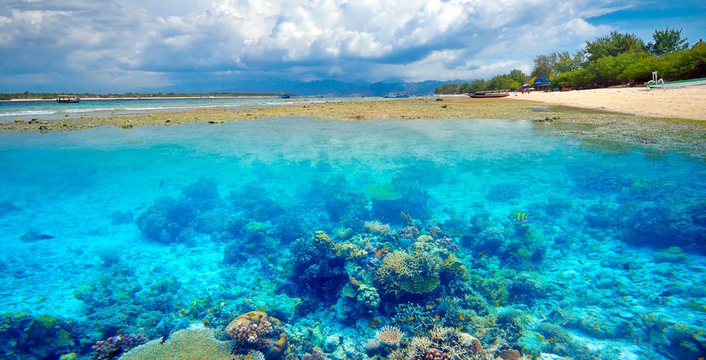 FuramaXclusive Resort & Villas 5* + The Lokha Umalas Villas & Spa 4* + Tanadewa Villas & Spa 4*