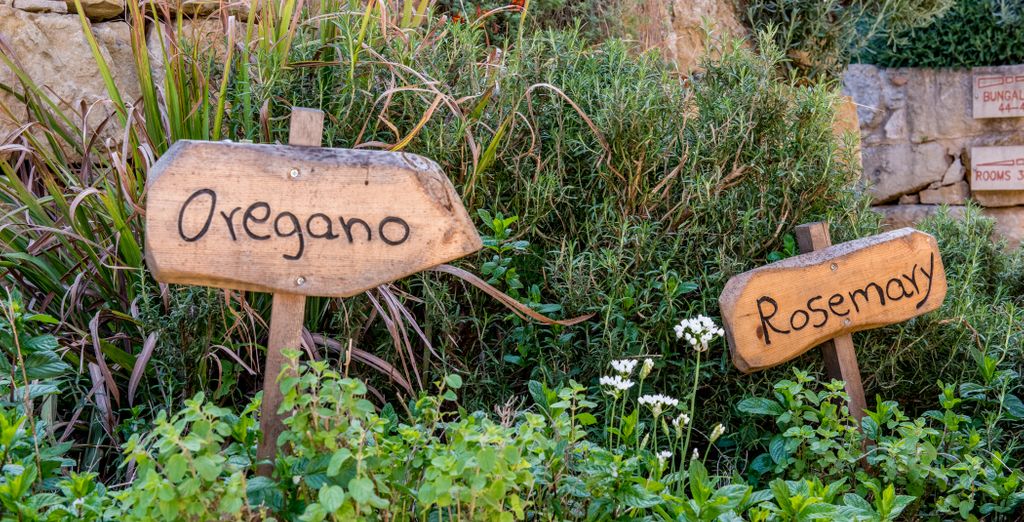 Ayii Anargyri Natural Healing Spa Resort 4* - Adults Only