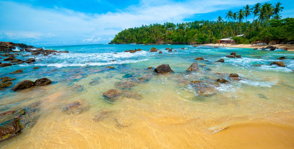 Tour dello Sri Lanka con possibile estensione mare
