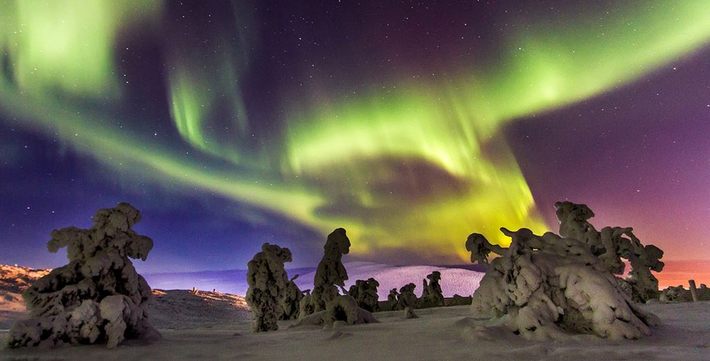 Cena in ristorante di ghiaccio + notte in snowhotel e crociera in rompighiaccio - Adults Only