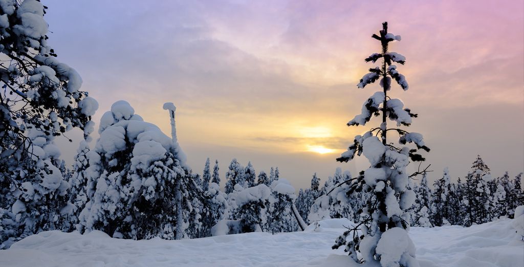 Esperienza in Lapponia con soggiorno opzionale a Rovaniemi
