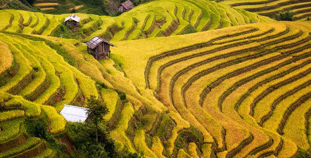 Tour Cambogia & Vietnam con estensione a Sapa