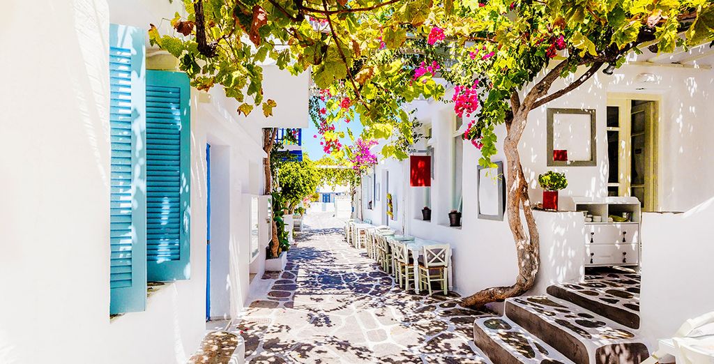 24 Estate Villas Paros