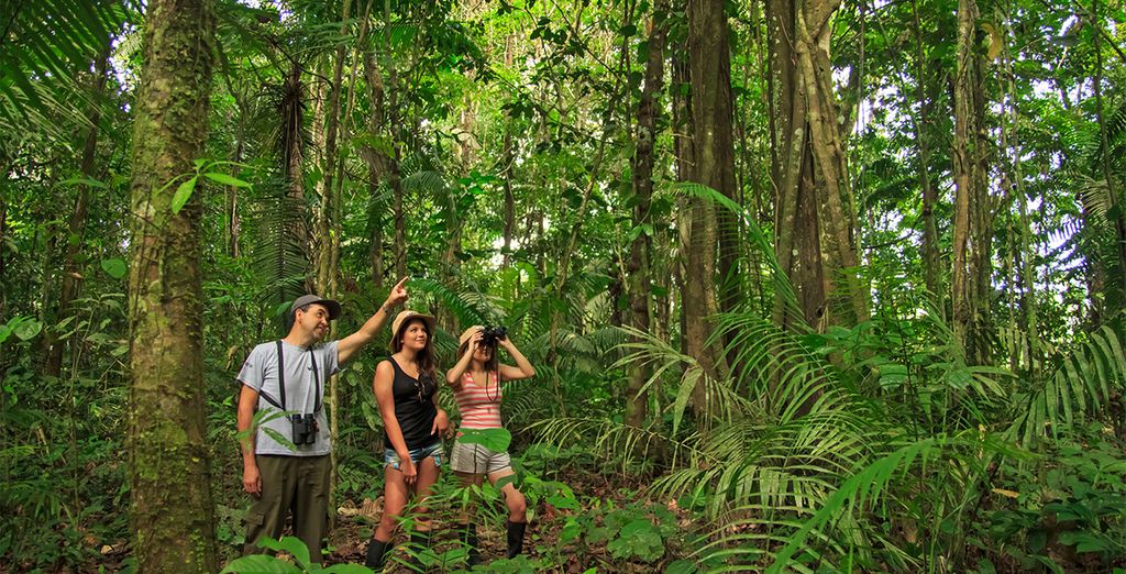Crociera dell'Amazzonia ecuadoriana con estensione a Quito e Cotopaxi