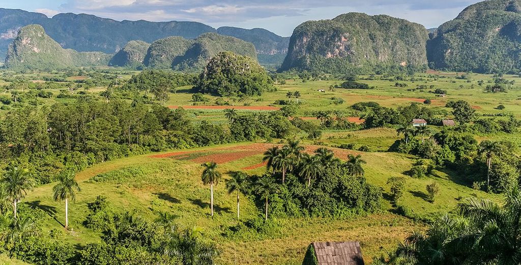 Casas Particulares a L'Avana e Vinales & Paradisus Princesa del Mar 5* adult only